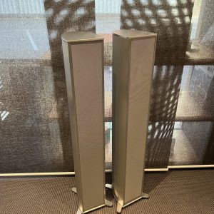Piega Premium Wireless 501 - Démo